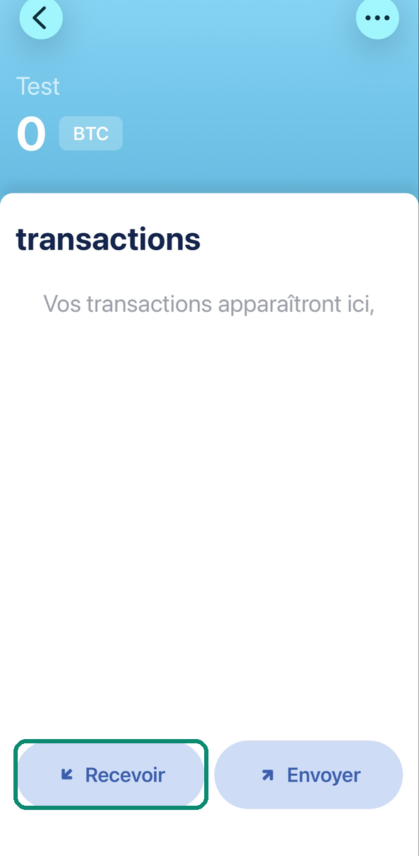 Écran du portefeuille dans Blue Wallet, le bouton Recevoir encadré