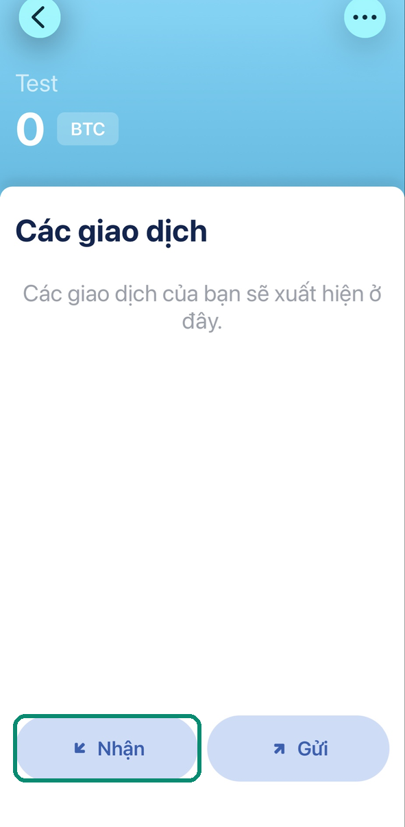 Màn hình ví trong Blue Wallet, nút Nhận được đóng khung
