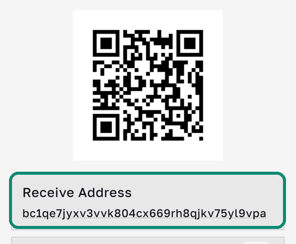 Bull Wallet Receive screen, the Receive Address box framed