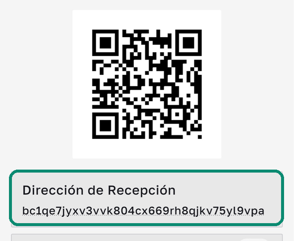 Pantalla Recibir de Bull Wallet, con el recuadro Dirección de Recepción enmarcado