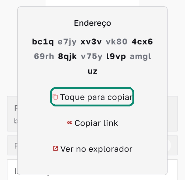 Janela do endereço no Bull Wallet, com Toque para copiar destacado